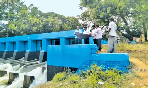 திருவாலங்காட்டில் நீர்வளத்துறை அதிகாரி ஆய்வு செய்தார்.
