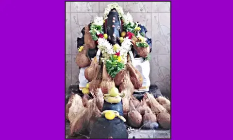 விசாலாட்சி விநாயகர் கோவிலில் 9-ந்தேதி சங்கடஹர சதுர்த்தி விழா