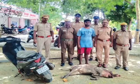காட்டுப்பன்றி வேட்டையாடியவரை போலீசார் கைது செய்த காட்சி.