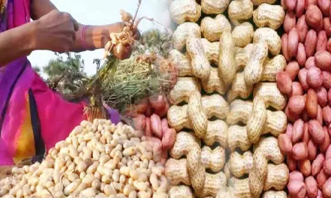 கோப்பு படம்
