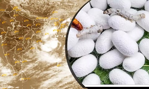 கோப்பு படம்.