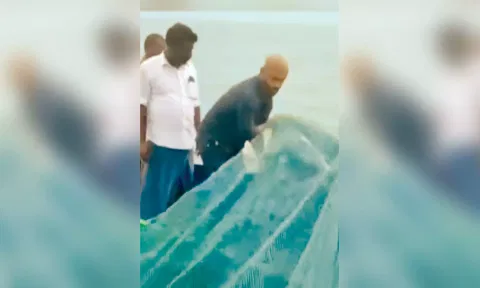 கடலில் வலைவீசி மீன் பிடித்த கலெக்டர்.