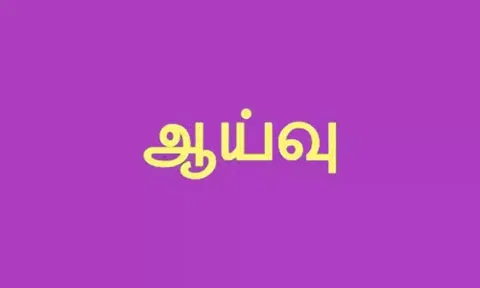 சிற்றாறு வனப்பகுதியில் வந்தது புலியா? சிறுத்தையா? - வனத்துறை அதிகாரிகள் ஆய்வு