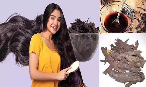 கூந்தல் வளர்ச்சியை அதிகரிக்கும் வேம்பாளம் பட்டை