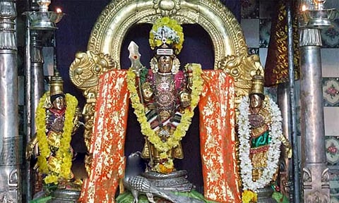 மனமுருகி வேண்டியவர்களை கைவிடாத "சிங்காரவேலவர்'': பக்தர்கள் கூறிய உண்மை தகவல்கள்