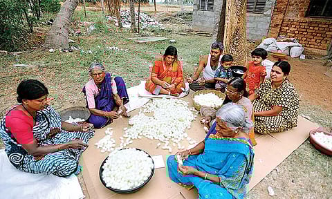 பெண்களுக்கு நிரந்தர வருமானம் தரும் பட்டுப்புழு வளர்ப்பு தொழில்