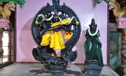 நெல்லையப்பர் கோவிலில் திருவாதிரை திருநடனம்