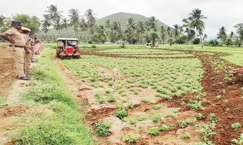 ஆக்கிரமிப்பு செய்யப்பட்டுள்ள நிலத்தை மீட்டு பயிர்களை டிராக்டர் மூலம் பயிர்களை அழித்தனர்.