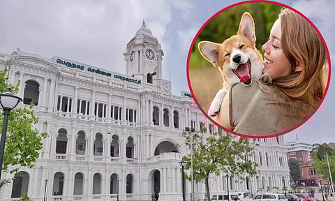 செல்லப்பிராணிகள் வளர்ப்போர் உரிமம் பெறுவது கட்டாயம்: சென்னை மாநகராட்சி