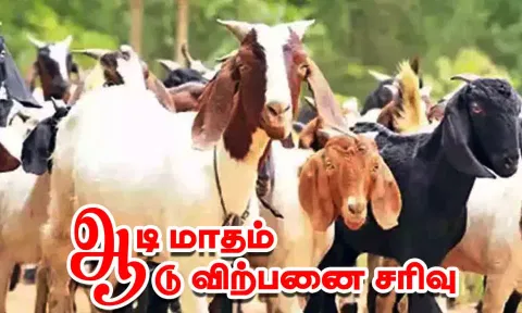 கோப்பு படம்.
