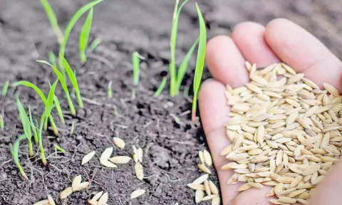 சீர்காழியில், குறுவை தொகுப்பு திட்டம் குறித்த ஆய்வு கூட்டம்