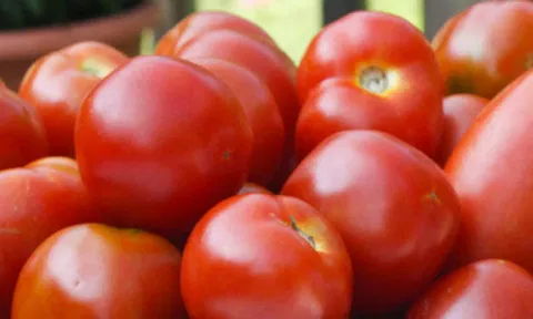 கோப்புப்படம்.