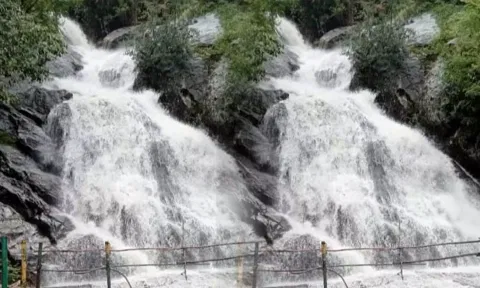 கவியருவியில் வெள்ளம் ஆர்ப்பரித்து கொட்டும் காட்சி.