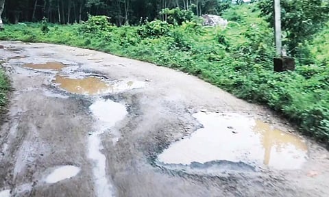 பேச்சிப்பாறை-கோதையாறு சாலையை சீரமைக்க வேண்டும்