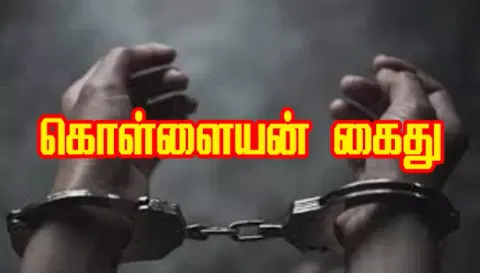 65 திருட்டு வழக்குகளில் தொடர்புடைய பிரபல கொள்ளையன் கைது