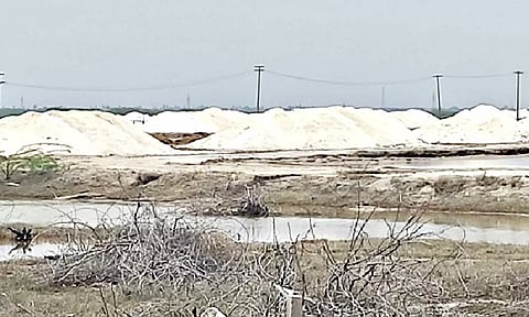 ராமநாதபுரம் மாவட்டத்தில் உப்பு உற்பத்தி அதிகரிப்பு- டன் ரூ.3000 வரை விற்பதால் மகிழ்ச்சி