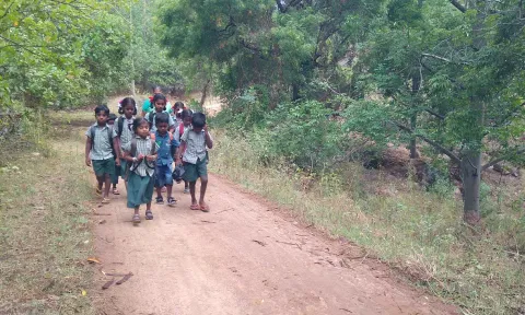 போக்குவரத்து வசதி இல்லாததால் 2 கி.மீ. தூரம் நடந்தே பள்ளிக்கு செல்லும் மாணவ-மாணவிகள்