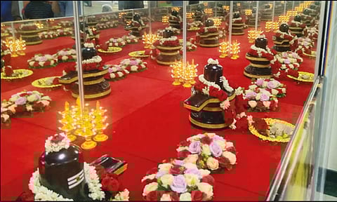 மார்த்தாண்டத்தில் 12 ஜோதிர்லிங்கம் தரிசனம் திரளான பக்தர்கள் பங்கேற்பு