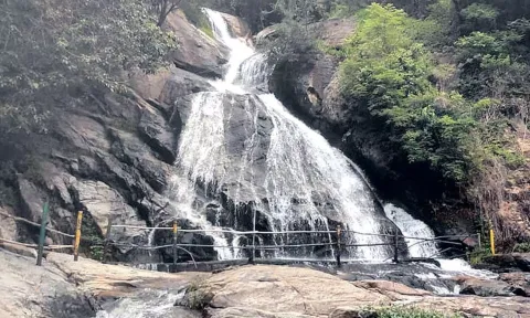 கவியருவியில் குளிக்க வனத்துறை இன்று முதல் அனுமதி- சுற்றுலா பயணிகள் வருகை மீண்டும் அதிகரிப்பு