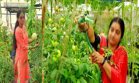 சமையலுக்கு வீட்டிலேயே காய்கறிகள்: பெண்களே மாடித்தோட்டம் அமையுங்கள்...!