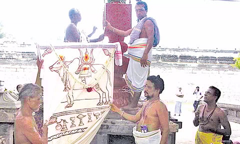 வேதாரண்யேஸ்வரர் கோவிலில் கொடியேற்றம் நடந்தது.