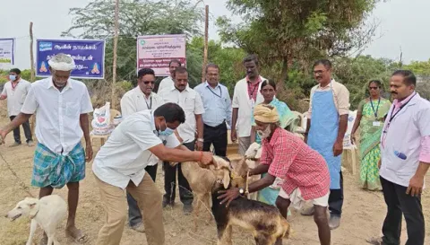 கால்நடை சிகிச்சை முகாம் நடைபெற்ற போது எடுத்த படம்.