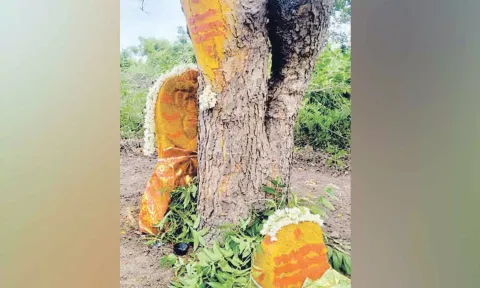 கல்லூரி மாணவர் கனவில் வந்த இடத்தில் எல்லை பிடாரி செல்லியம்மன் சிலை- மஞ்சள் பூசி பக்தர்கள் வழிபாடு