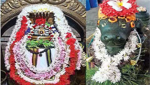 சிறப்பு அலங்காரத்தில் பரமேஸ்வரர் மற்றும் நந்தி பெருமான்.