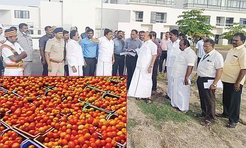 மற்ற மாநிலங்களை விட தமிழகத்தில் தக்காளி விலை குறைவாக உள்ளது- அமைச்சர் எம்.ஆர்.கே. பன்னீர்செல்வம்