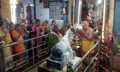 செங்கோட்டை குலசேகரநாதர் கோவிலில் பிரதோஷ வழிபாடு