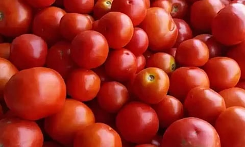 படிப்பில் ஜீரோ; விவசாயத்தில் ஹீரோ: தக்காளியால் கோடீசுவரரான தெலுங்கானா விவசாயி