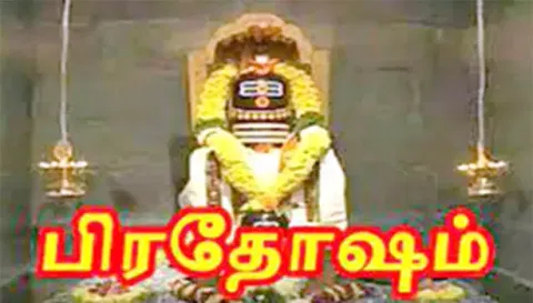சனிப்பிரதோச விழா வழிபாடு