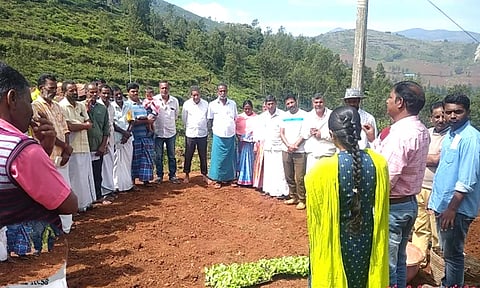 காய்கறி பயிர்களில் நோய்தாக்குதலை தடுப்பது எப்படி? நீலகிரி தோட்டக்கலை அதிகாரிகள் விளக்கம்