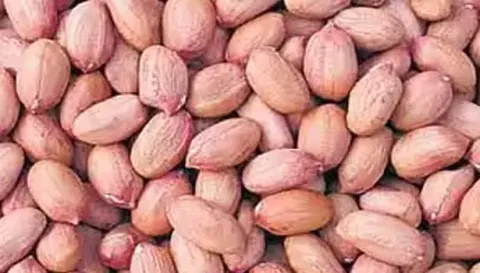 நிலக்கடலை காய் ரூ.38 ஆயிரத்து 786-க்கு விற்பனை