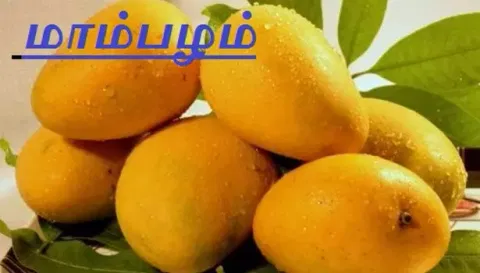 ரூ.4 கோடிக்கு மாம்பழங்கள் விற்பனை