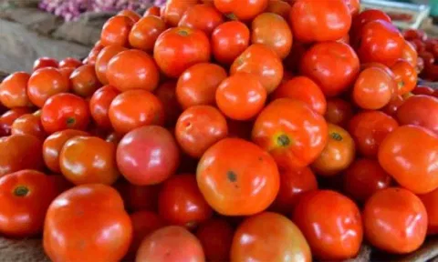 தக்காளி விலை எப்போது குறையும்? மாநிலங்களவையில் மத்திய மந்திரி பதில்