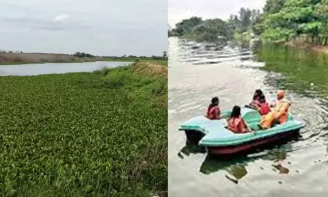 செல்லிக்குறிச்சி ஏரியை தூர்வாரி படகு சவாரி ஏற்படுத்த வேண்டும்