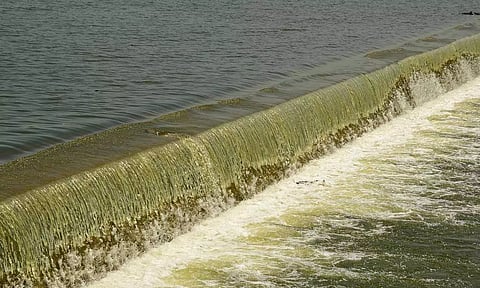 கர்நாடக அணைகளில் இருந்து திறந்து விடப்பட்ட தண்ணீர் தமிழக எல்லைக்கு நாளை மறுநாள் முதல் வரத்தொடங்கும்