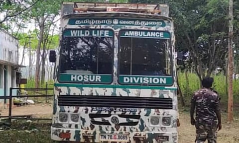 காட்டுயானையை பிடிக்க ஓசூரில் இருந்து வரவழைக்கப்பட்ட லாரியை படத்தில் காணலாம்.
