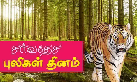 கோப்பு படம்.