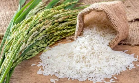 ஏற்றுமதிக்கு மத்திய அரசு தடை- அரிசி விலையில் மாற்றம் இருக்குமா?