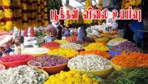 நாமக்கல் மார்க்கெட்டில் பூ விலை உயர்வு