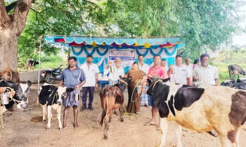 சிறப்பு கால்நடை மருத்துவ முகாம்