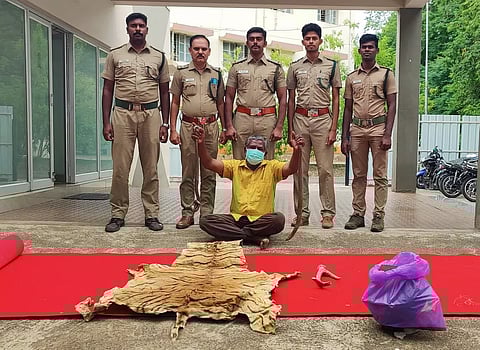 கோவையில் நாட்டு வைத்தியர் மண்ணுளி பாம்பை கொண்டு மருந்து தயாரிப்பு