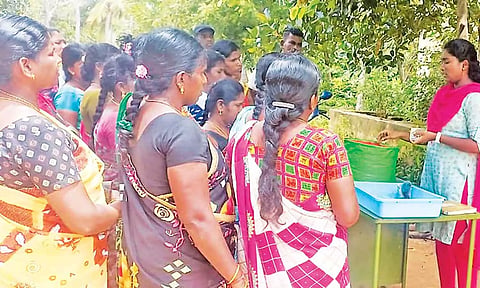மாடித்தோட்டம் அமைக்க பயிற்சி அளிக்கப்பட்டது.