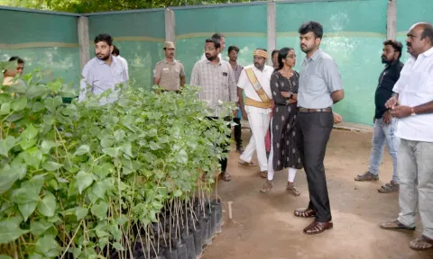 கலெக்டர் ராஜகோபால் சுன்கரா லட்சுமி நகர் பகுதியில் அமைக்கப்பட்டுள்ள நாற்று பண்ணையை பார்வையிட்டு ஆய்வு செய்தார்.