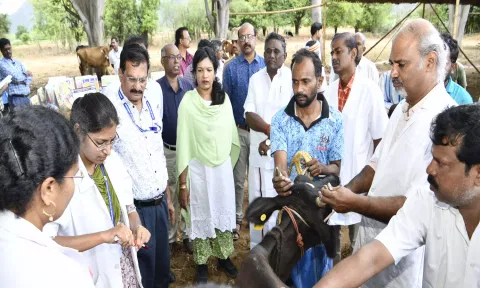சிறப்பு கால்நடை மருத்துவமுகாமை கலெக்டர் ஷஜீவனா தொடங்கி வைத்து பார்வையிட்டார்.