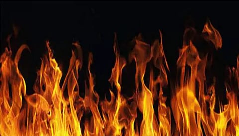 செடி கொடிகளில் திடீர் 'தீ'