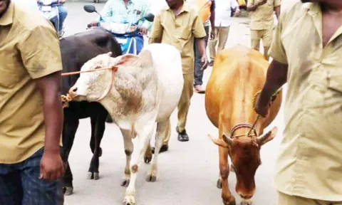 கோப்புப்படம்