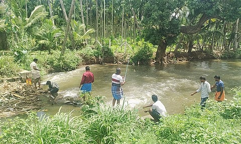 நொய்யல் ஆற்றில் மீன் பிடிக்க குவியும் இளைஞர்கள்